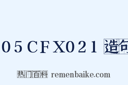 05CFX021造句是什么意思的图片